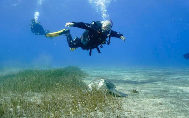 Discover the Underwater Wonders: Scuba Diving Adventures in Phuket Adventures