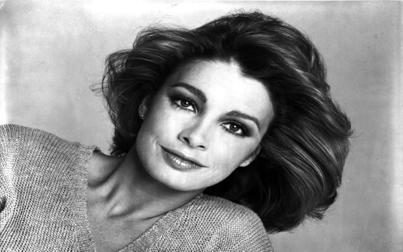 Career Highlights and Notable Stories